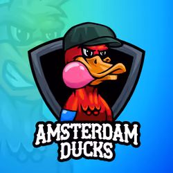 Amsterdam Ducks