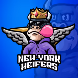 New York Heifers