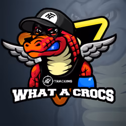What A Crocs