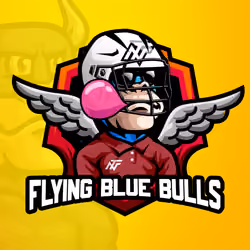 Flying Blue Bulls