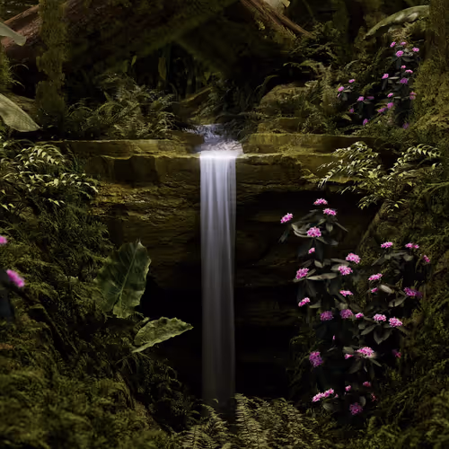 Synthetic Cascades Open Edition