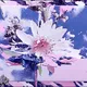 C Y B O T A N Y 🎨🦾🌸💕 ( cybotany )