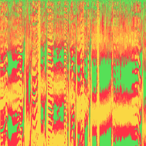 Synesthesia Collective