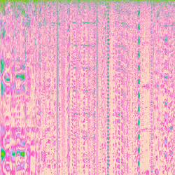 Synesthesia #959