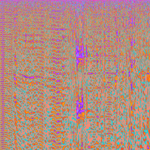Synesthesia Collective