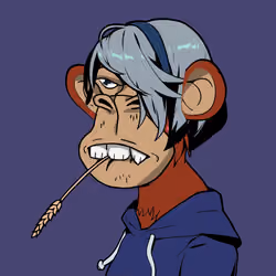 Zuki Ape Yacht Club #808