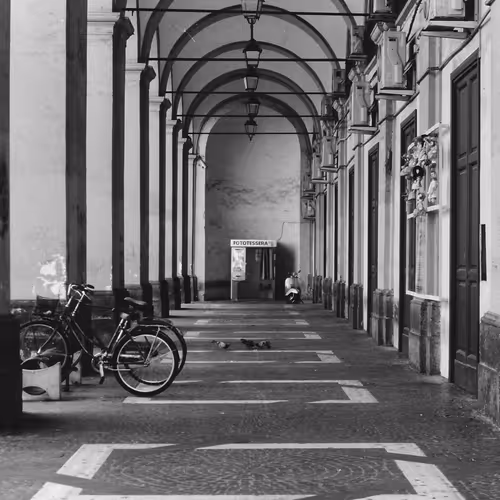 The World Through The Film 1