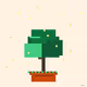 Eternal Bonsai #0854