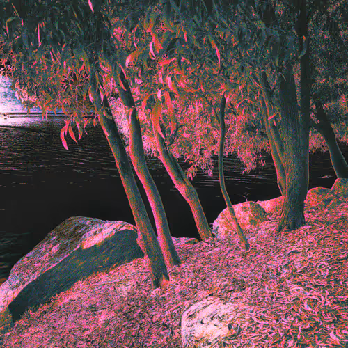 A Journal About Color Psychology With Nature