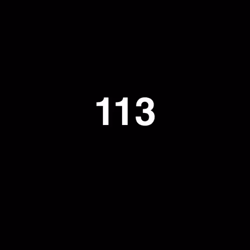 Item #113 Media