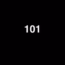 101