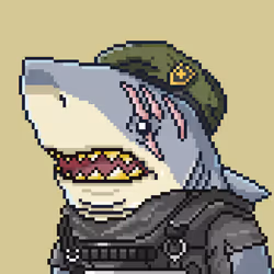 Justice Shark #1299