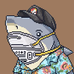 Outlaw Shark #7733