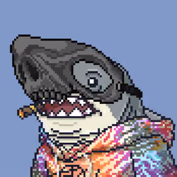 Outlaw Shark #543