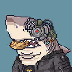 Justice Shark #553