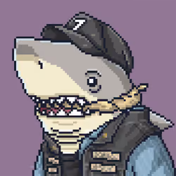 Outlaw Shark #3310