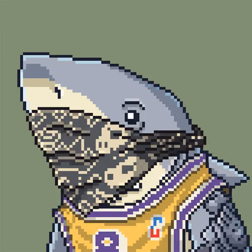 Outlaw Shark #1561