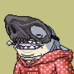 Outlaw Shark #517