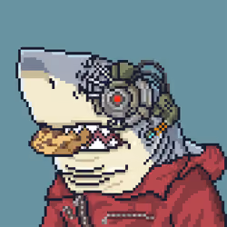 Outlaw Shark #3054