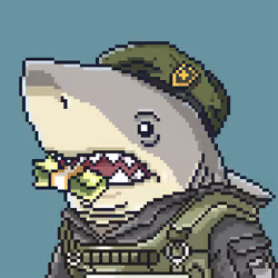 Justice Shark #4434