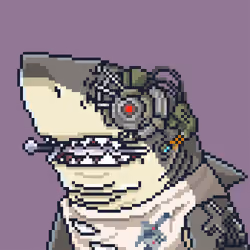 Outlaw Shark #3637