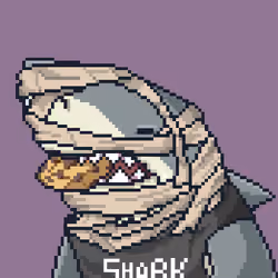 Outlaw Shark #4630