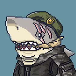 Justice Shark #7629