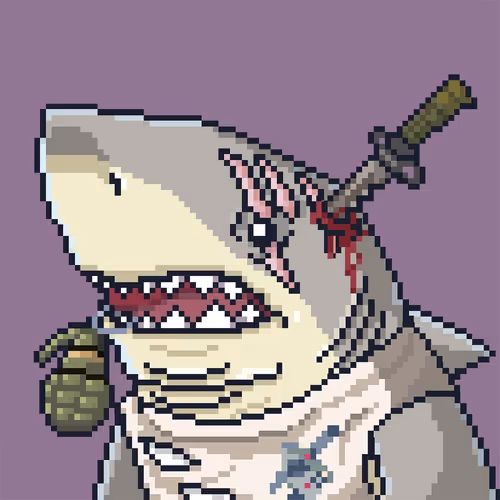 Outlaw Shark #4904