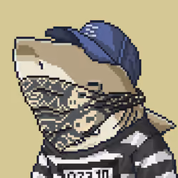 Outlaw Shark #3782