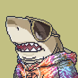 Outlaw Shark #49