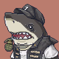 Outlaw Shark #5243