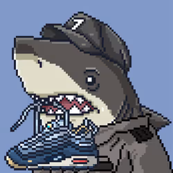 Justice Shark #7734