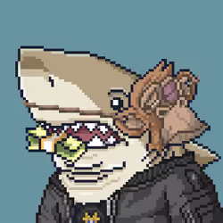 Justice Shark #3