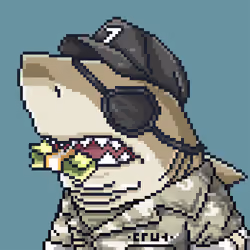 Justice Shark #2495