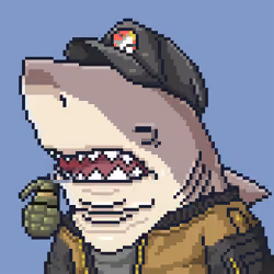 Outlaw Shark #7313