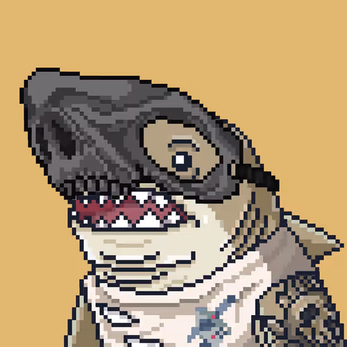 Outlaw Shark #5297