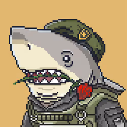 Justice Shark #1643