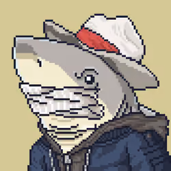 Outlaw Shark #248
