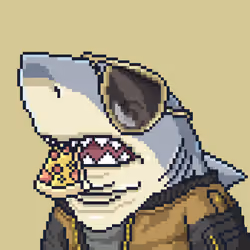 Outlaw Shark #6607