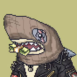 Outlaw Shark #965