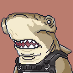 Justice Shark #7246