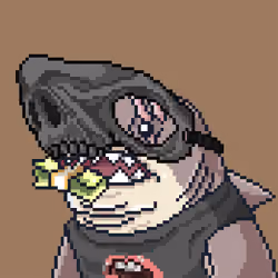 Outlaw Shark #7537