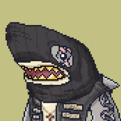 Outlaw Shark #3044