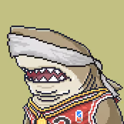 Outlaw Shark #114