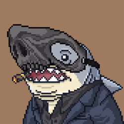 Outlaw Shark #384