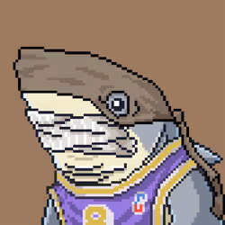 Outlaw Shark #3612