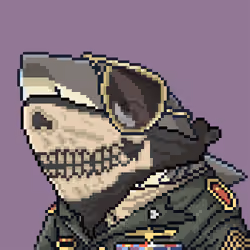 Justice Shark #3609