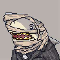 Outlaw Shark #6955