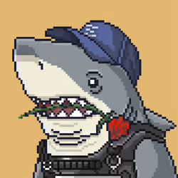 Justice Shark #4407