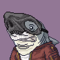 Outlaw Shark #2195